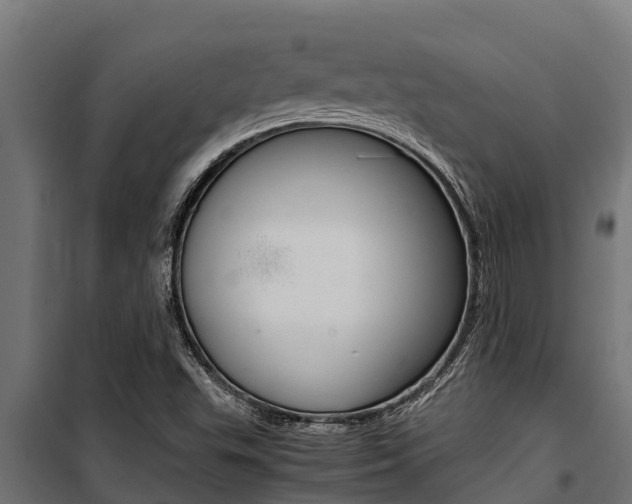 X0000100771503200806190920