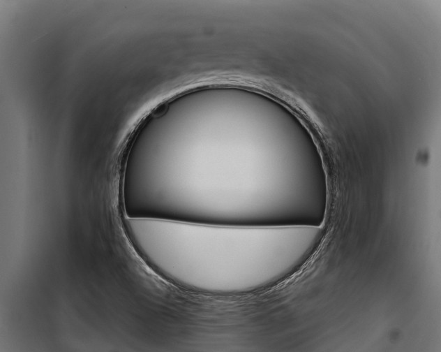 X0000100771504200806190921