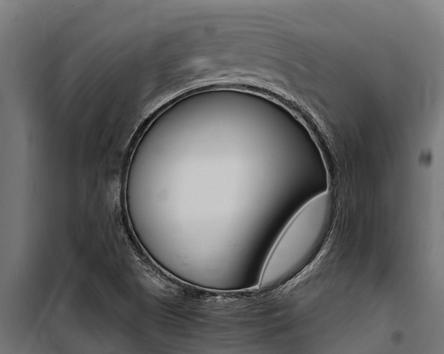 X0000100771505200806190921