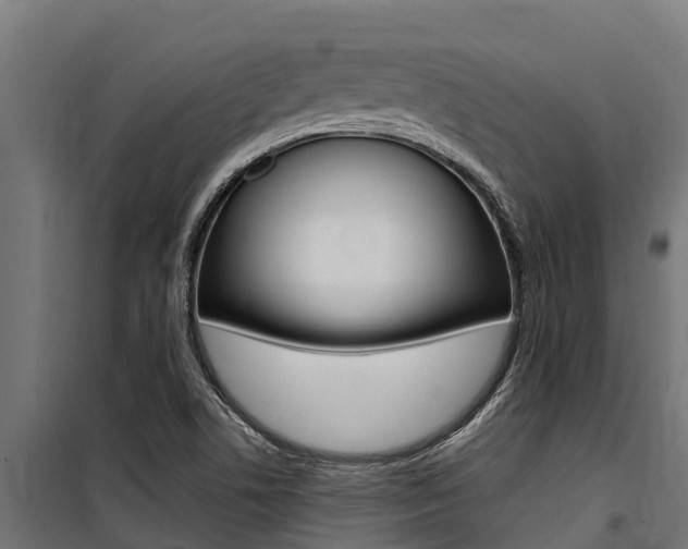 X0000100771506200806190921