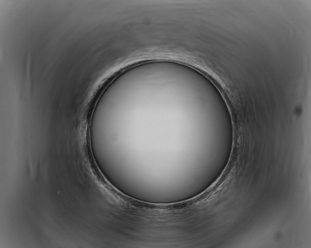 X0000100771507200806190921