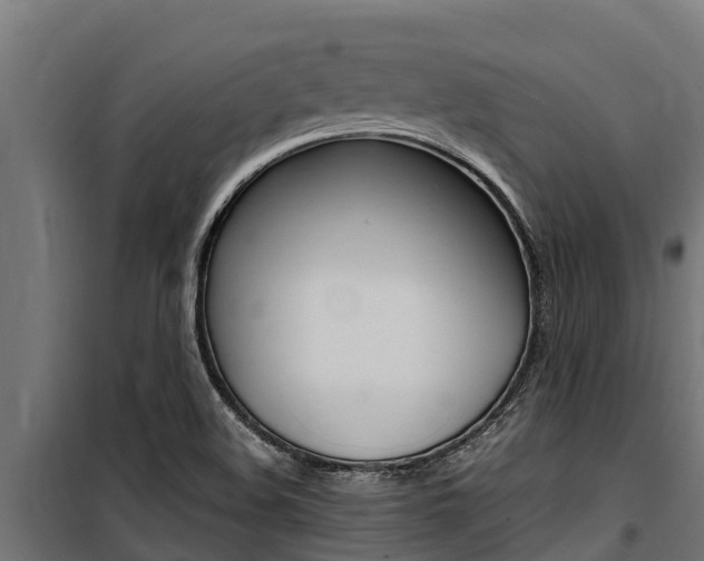 X0000100771508200806190921