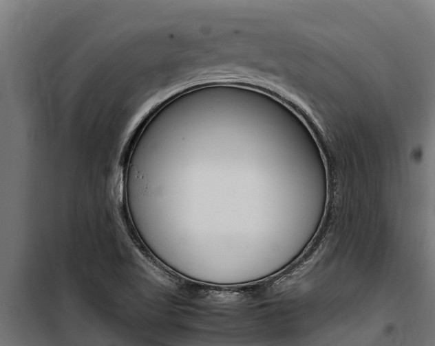 X0000100771509200806190921