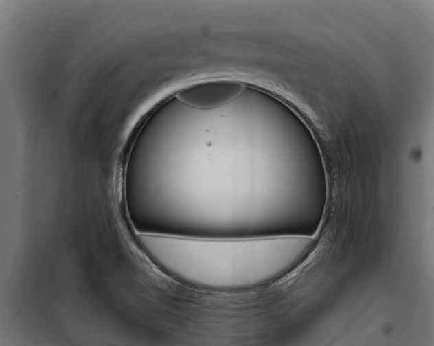 X0000100771510200806190921