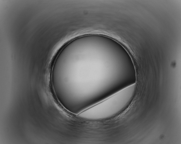 X0000100771511200806190921