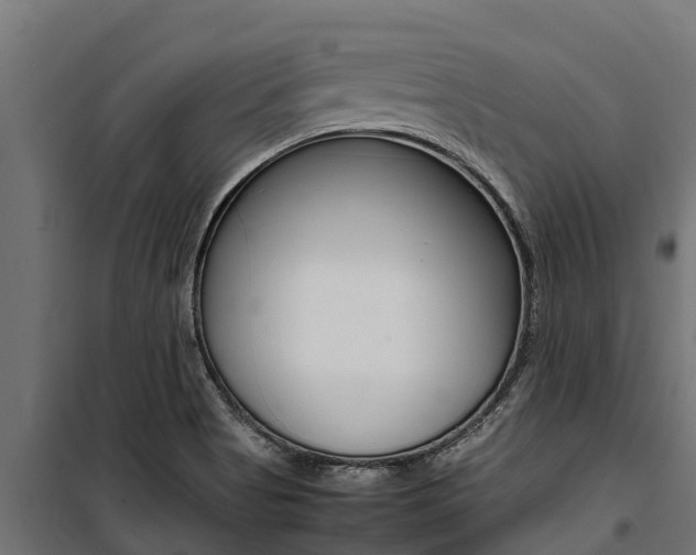 X0000100771513200806190921