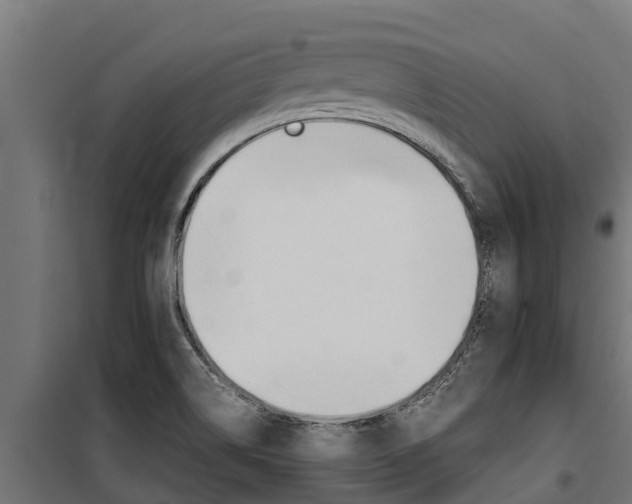 X0000100771514200806190921