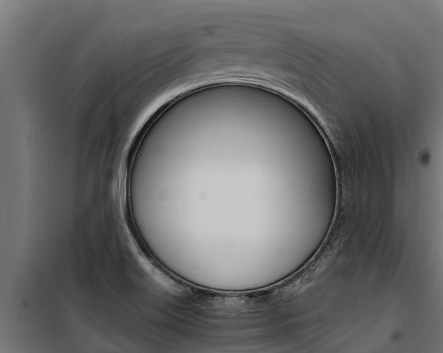 X0000100771515200806190921
