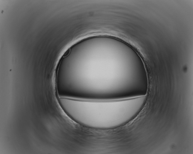 X0000100771516200806190921