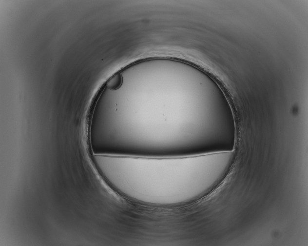 X0000100771517200806190921