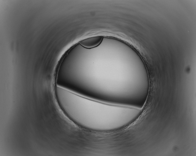 X0000100771518200806190921