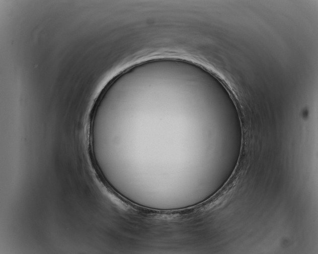 X0000100771519200806190921
