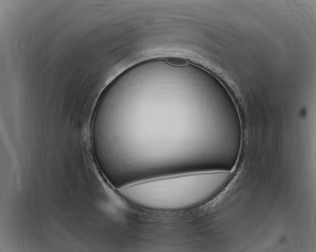 X0000100771521200806190921