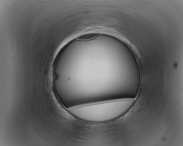 X0000100771522200806190921