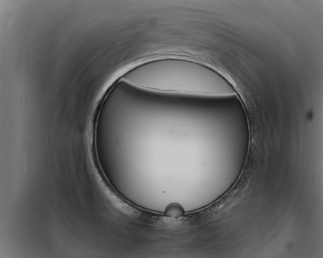 X0000100771523200806190921