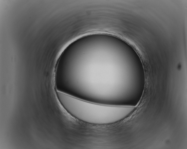 X0000100771524200806190921