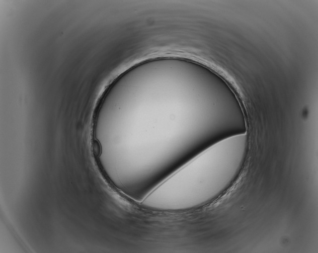 X0000100771525200806190921