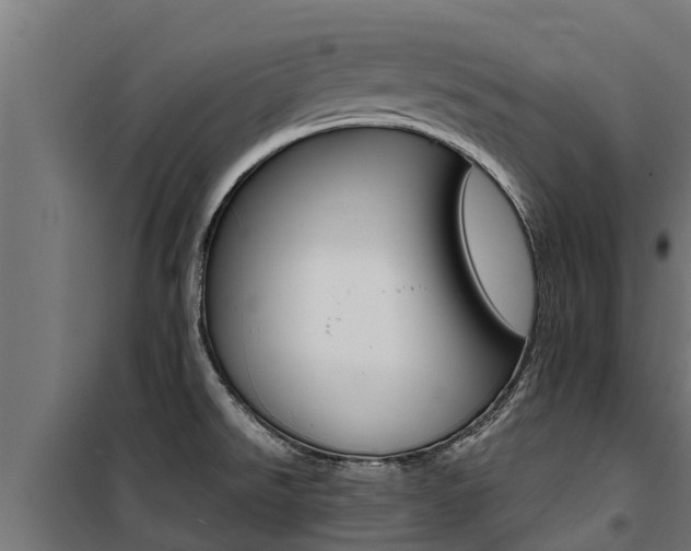 X0000100771526200806190921