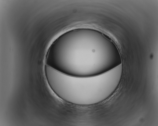 X0000100771528200806190921