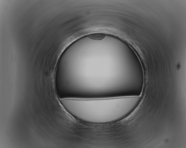 X0000100771529200806190921