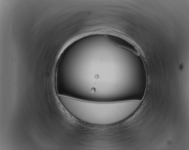 X0000100771530200806190921