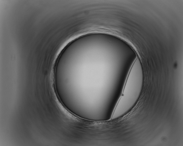 X0000100771531200806190921