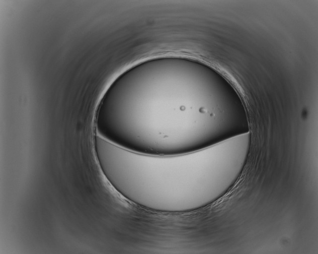X0000100771532200806190921