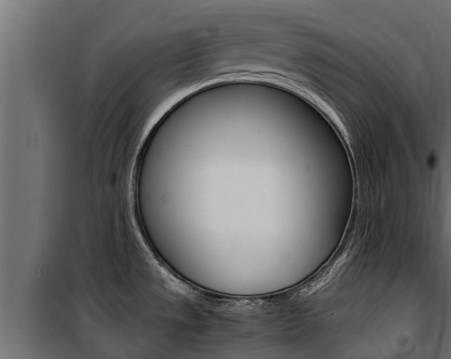 X0000100771533200806190921