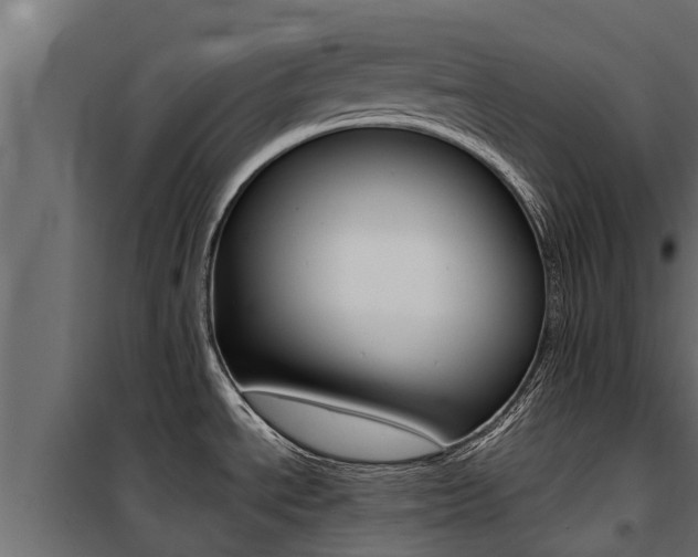 X0000100771534200806190921