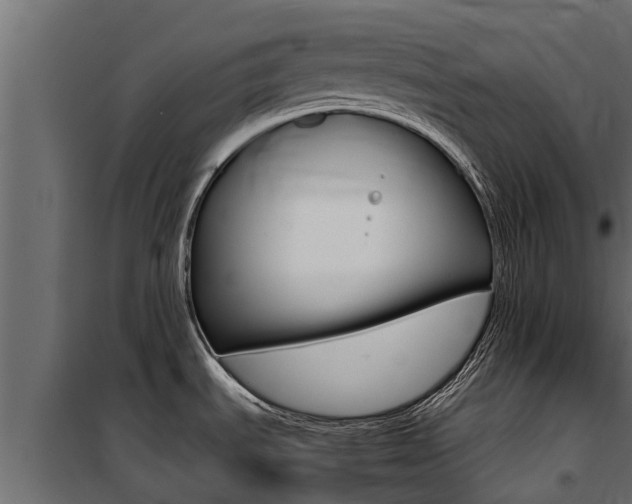 X0000100771535200806190921