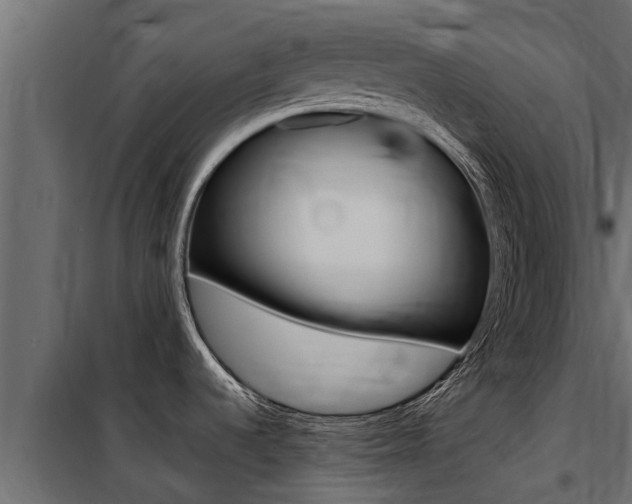X0000100771536200806190921