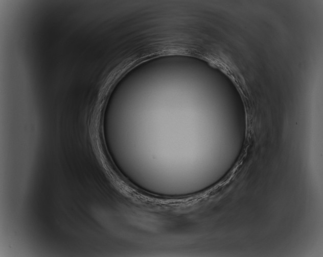 X0000100770001200806191251