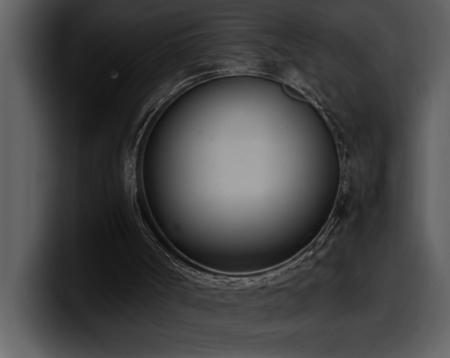 X0000100770002200806191251