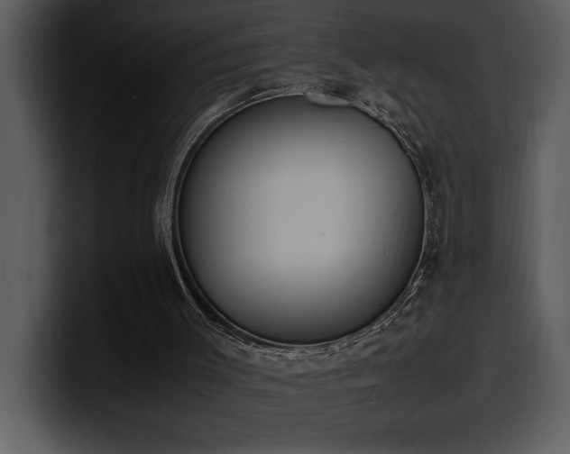 X0000100770003200806191251
