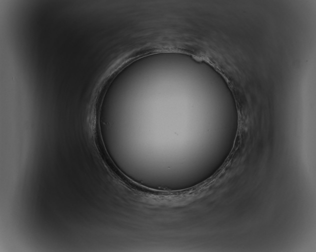 X0000100770005200806191251