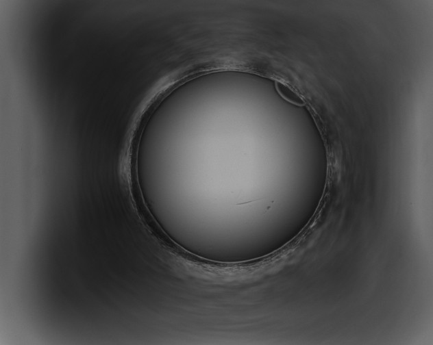 X0000100770006200806191251