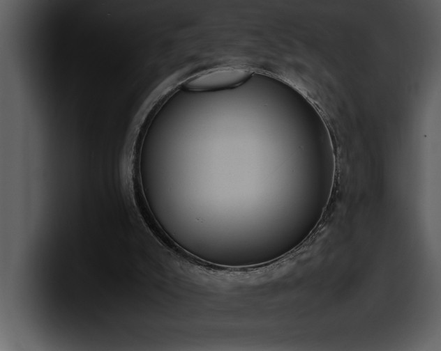X0000100770007200806191251