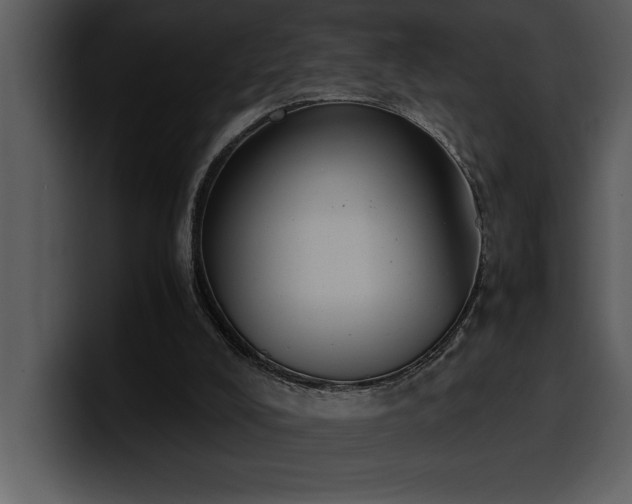 X0000100770008200806191251