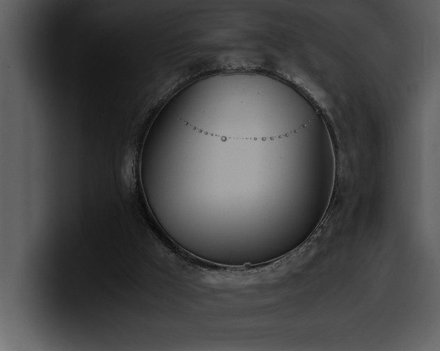 X0000100770009200806191251