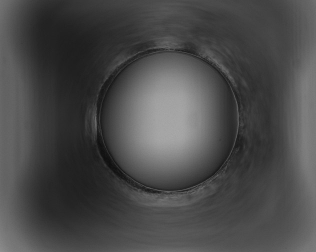 X0000100770011200806191251