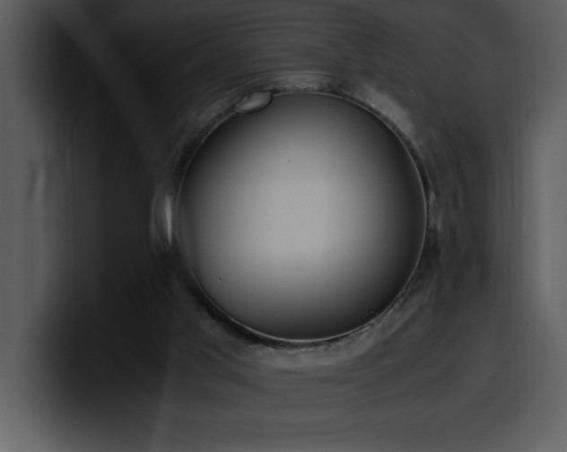X0000100770013200806191251