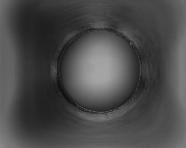 X0000100770015200806191251