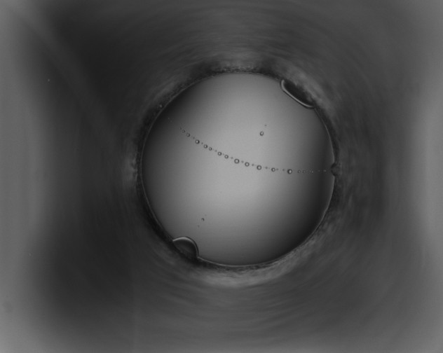 X0000100770017200806191251
