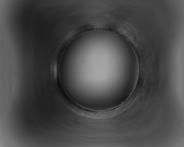 X0000100770019200806191251