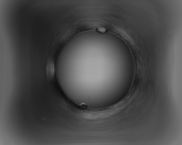 X0000100770021200806191251