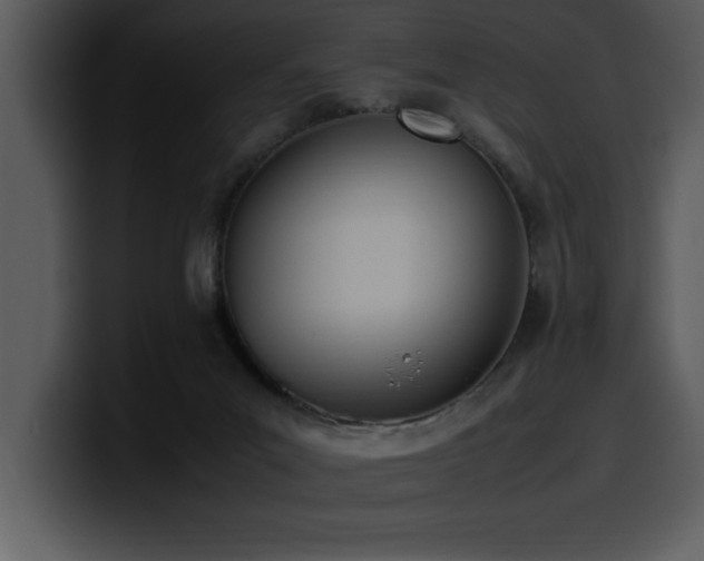 X0000100770023200806191251