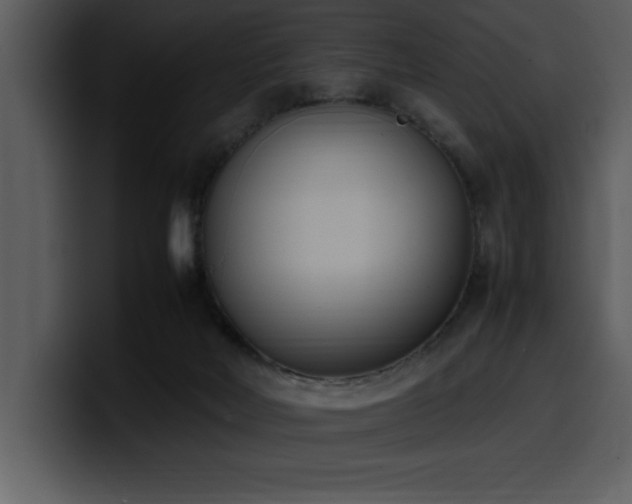 X0000100770026200806191251