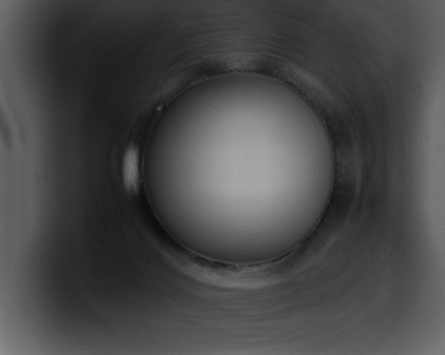 X0000100770028200806191251