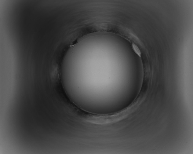 X0000100770029200806191251