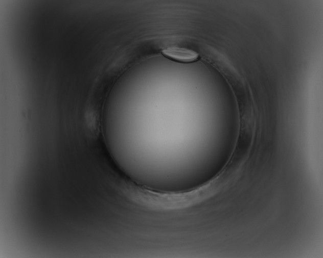X0000100770031200806191251